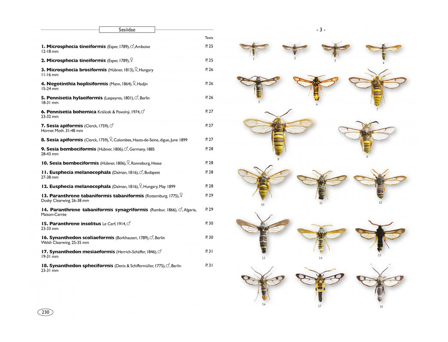 moths-of-europe-vol-8-microlepidoptera-2 (3)